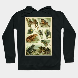 Frogs And Toads Hoodie